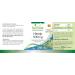 Fairvital | Fennel 500mg - High dosed - 90 capsules - - Buy Online on GoSupps.com