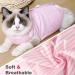 Dotoner Cat Recovery Suit - Surgical Shirt for Belly Wounds | Soft Medical Clothing for Cats After Surgery (Pink L) - Cone Alternative - Buy Online on GoSupps.com