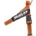 Julius-K9 Belt Harness M/0 - Stylish Orange-Grey Color for Ultimate Pet Comfort | International Shipping Available - Buy Online on GoSupps.com