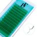 Green Lash Extension Volume Eyelashes Extensions 0.05 CC 8-15mm Lash Tray Individual lash Extensions Classic Lash Extensions Soft Matte Black Single Lashes for Professional Salon Use