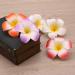 Lurrose Bridal Hair Clip 12 Pieces Hawaiian Plumeria Flower Hair Clip Hawaiian Foam Flower Hair Clip Hair Accessories for Beach Party Artificial Wreath - Buy Online on GoSupps.com