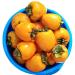 California Hachiya Persimmons Organic (5 lbs)