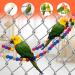 Natural Wood 10-Ladder Bird Ladder Bridge Set for Small Birds - Swing and Climbing Toys for Parakeet, Cockatiel, Finch, Lovebird, and more - Buy Online on GoSupps.com