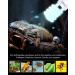 Doright UVA UVB Light 10.0 26W-E27 for Reptiles | UVB Lighting Kit for Chameleons & Leopard Geckos | International Shipping - Buy Online on GoSupps.com