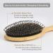 BESTOOL Boar Bristle Hair Brush Set - For Women, Men, Kids - Detangling, Softening, & Silky Shine - Regular & Small Sizes - Ideal for Thick, Fine, Curly Hair - Buy Online on GoSupps.com