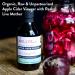 Organic WILLY'S Apple Cider Vinegar with Mother - 5L Jerry Can - Probiotics for Detox & Gut Health - Sustainable ACV - 5 l (1 Pack) - Buy Online on GoSupps.com