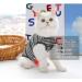 Clrybo Katzenbody After Op Suit | Professional Recovery Clothing for Cats & Dogs | Anti-Trim Striped-Gray Large | Ideal for Post-Surgery & Skin Wounds - Buy Online on GoSupps.com