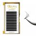 QueWel Self-Fan Eyelash Extensions | 0.12 D Curl 12mm Volume Lashes for Easy Application | International Shipping - Buy Online on GoSupps.com