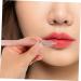 Didiseaon Lip Makeup Brush Makeup Make up Brush Women Makeup Tools Concealer Brush Wand Lipstick Brush Applicator Makeup Brush for Women Portable Lip Stick Artificial Fiber Miss - Buy Online on GoSupps.com