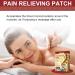 Pain Relief Patch - 10 Pieces for Knee Back and Neck Pain Relief | Heat Therapy Anti-Pain Plaster for Sore Muscles - Buy Online on GoSupps.com