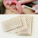 Ear Seeds Acupuncture Disposable Ear Seeds Vaccaria Seed for Ear Acupressure Ear Seed Plaster Disposable Ear Press Seeds 600Pcs Disposable Acupuncture Ear Seeds Ear Massage Stickers - Buy Online on GoSupps.com