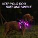 Buy PCEOTLLAR LED Dog Harness - Reflective & Breathable Light Dish for Small & Medium Dogs - Purple - International Shipping Available - Buy Online on GoSupps.com