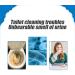 Foam Toilet Cleaner - 2023 Upgrade Toilet Cleaner Cleaner Foaming for Toilet Toilet Active Oxygen Agent Powerful Cleaning Natural Toilet Cleaner Easy to Use (1Pcs 110g) 250.00 g (Pack of 1) 110g - Buy Online on GoSupps.com