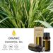 GREENSLEEVES Lemongrass Essential Oil, 10ml Pure Plant-Based Fragrance Oil for Aromatherapy, Essential Oils for Diffuser, Air Freshener, Massage, Bath Bomb, Scented Candle Soap Making - Buy Online on GoSupps.com