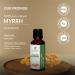 Myrrh Oil -(Commiphora Myrrha)- Essential Oil 100% Pure Natural Undiluted Uncut Therapeutic Grade Oil 1.69 Fl.OZ Myrrh oil 50ML (1.69 Fl.OZ) - Buy Online on GoSupps.com