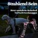 Rabbitgoo Dog Harness for Large Dogs Adjustable No-Choke Anti-Pull Pink Harness with Handle & Soft Padded Reflective Chest 1 Pack - Buy Online on GoSupps.com