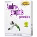 Andrographis Paniculata Capsules | 60 Count - Immune Support Supplement | Fast International Shipping - Buy Online on GoSupps.com
