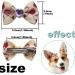 60Pcs Rhinestone Puppy Hair Bows with Metal Clips - Handmade Pet Grooming Accessory for Party & Birthday Celebrations - Buy Online on GoSupps.com