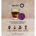 Delta Q Capsules de Caf MythiQ Intensit 15 Pack 80 Compatibles avec les Machines Delta Q Espresso Intense aux Notes de Cacao Chocolat et Noix Grill es Cacao chocolat noisettes grill es nuances de framboise 80 unit (Lot de 1) - Buy Online on GoSupps.com