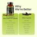 Dr. HERBALIST Black Seed Oil Capsules - 60 Count 1600mg Per Serving - Organic Cold Pressed Nigella Sativa Pure Black Cumin Seed Oil- Contains Natural Thymoquinone (TQ) Black Seed Oil 1 - Buy Online on GoSupps.com