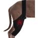 Hip Brace for Dogs | Large Dog Rear Leg Support High Elasticity Hip Support Breathable Dog Leg Protector with Metal Strip for Small Dog Black X-Small - Buy Online on GoSupps.com