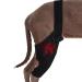 Dog Hip Brace Support Dog Back Leg Brace Back Leg Hip Support with Metal Strip High Elasticity Breathable Leg Protector for Recovery Period Pochy Black Small