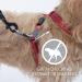 Ezydog Anti Pull Dog Harness - Reflective Size Adjustable - Training for Small Medium & Large Dogs (XL Red) - Buy Online on GoSupps.com