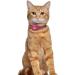Shop Oopsdoggy Pink Leather Airtag Cat Collar with Bells | Durable GPS Pet Collar for Cats & Small Dogs - Buy Online on GoSupps.com