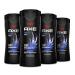 AXE Phoenix Crushed Mint & Rosemary Men's Body Wash 4 Count 16 oz (100% Recycled Bottle) Phoenix Men's Body Wash 4 Count 16 oz (100% Recycled Bottle) - Buy Online on GoSupps.com