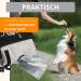 Amathing Dog Training Feed Bag - 60 Feces & Treats | 15x14 cm Black Clip & Stretch Opening - Buy Online on GoSupps.com