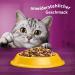 Whiskas Senior 7+ Dry Cat Food with Chicken - 5x800g Packs for Older Cats | International Shipping Available - Buy Online on GoSupps.com