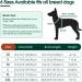 Kuoser Dog Recovery Suit - Post-Op Body for Male & Female Dogs | Breathable Leakage Protection & Anti-Licking | Gray L (1 Pack) - Buy Online on GoSupps.com
