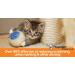 ThunderEase Cat Calming Pheromone Diffuser Refill | Reduce Scratching, Urine Spraying, Marking, Anxiety | 60 Day Supply - Buy Online on GoSupps.com