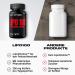 Body Attack Lipo 100 - Fat Burner with Lipocholine Caffeine Ginseng & B Vitamins - 120 Capsules for Weight Loss - Made in Germany - Buy Online on GoSupps.com