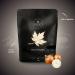 Onion Powder 200g Premium Quality Non-GMO Gluten-Free Finely Ground for Cooking Fries Seasoning and Marinades Rich Flavor and Aroma No Additives - Buy Online on GoSupps.com