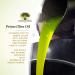 Frantoi Cutrera Primo Cold Extracted Italian Extra Virgin Olive Oil - 25.4 fl oz (Pack of 1) - Buy Online on GoSupps.com