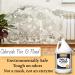 Odorcide Fire & Flood Concentrate - Gallon Size (210FF-G) | Ultimate Odor Eliminator for International Shipping - Buy Online on GoSupps.com
