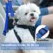 Oyefly Universal Dog Seat Belt Elastic Safety Belt for Dogs & Cats | Strong Carabiners | Fits All Car Types (Blue) - Buy Online on GoSupps.com