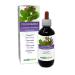 Lungwort (Pulmonaria officinalis) herb with Flowers Alcohol-Free Mother Tincture Naturalma | Liquid Extract Drops 200 ml | Food Supplement | Vegan Alcohol-free 200.00 ml (Pack of 1)