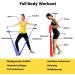 Zenlete Fitness Band Set | 3 Extra Long 2.5m Resistance Bands for Yoga Pilates & Strength Training | Includes Carrying Bag & E-Book - Buy Online on GoSupps.com