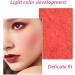 Skin Makeup Blush | Long Lasting Powder Blush for Cheeks - Daily Makeup Supplies for Home Meeting Date Work Travel  - Buy Online on GoSupps.com