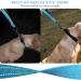 Vivaglory Short Dog Leash - 32 cm Sea Blue | Durable Training Line for Medium & Large Dogs - Buy Online on GoSupps.com