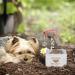 ACTLATI Engraved Resin Pet Urn for Dogs Ashes - Hand-Crafted Cremation Memorial Keepsake Box - Buy Online on GoSupps.com