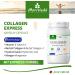 MoriVeda Paquet de produits Skin & Hair | Gouttes de vitamine D3+K2 capsules de collag ne BioCell avec formule express huile de past que | vitamines - Buy Online on GoSupps.com