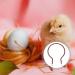 Balacoo Incubator Heating Tube Chick Accessories Egg Hatching Heating Tool Poultry Incubation Heater Element - Buy Online on GoSupps.com