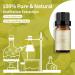 Lily Essential Oil 10ml - 100% Pure & Organic Fragrance Oil for Aromatherapy, Diffuser, Candle & Soap Making - Brown Bottle - Pack of 1 - Buy Online on GoSupps.com