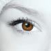 2 colored contact lenses "Hazelnut Brown" - 2x brown contact lenses without prescription + free contact lens case