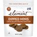 Element Snacks Chocolate Peanut Butter Dipped Minis (Pack of 8) - All-Natural Rice Healthy Snacks - Gluten-Free & Kosher - 3 Ounce - Buy Online on GoSupps.com