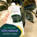 Green Beaver All Purpose Liquid Soap - Natural Unscented Castile Soap for Hand Laundry Body & Home - 1 Liter - Eco-Friendly & Gentle for All Skin Types - Buy Online on GoSupps.com