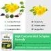 Te de Diente de Leon 30 Day Cleanse | Herbmood Dandelion Tea for Weight Loss - 60 Tea Bags - Buy Online on GoSupps.com